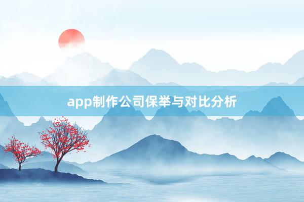 app制作公司保举与对比分析